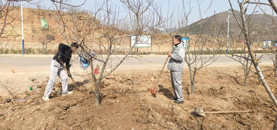 圖片22.png 圖片22.png