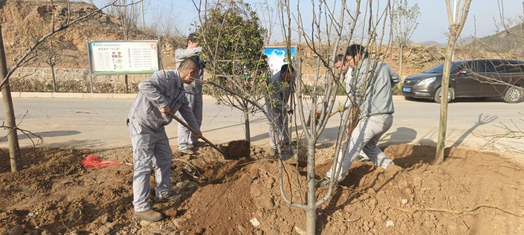 圖片4.png 圖片4.png