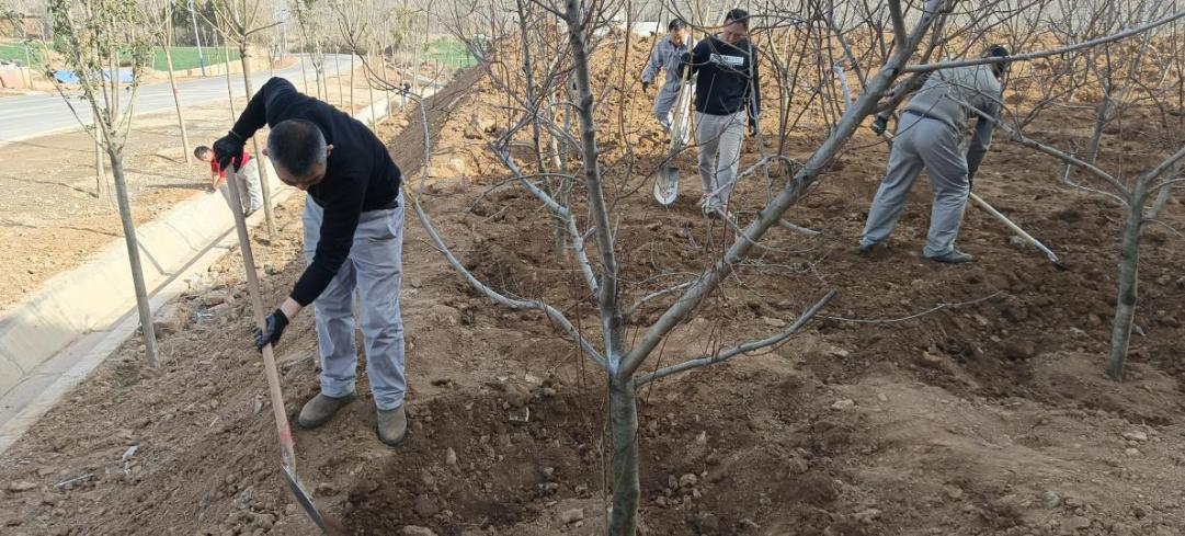 圖片3.png 圖片3.png