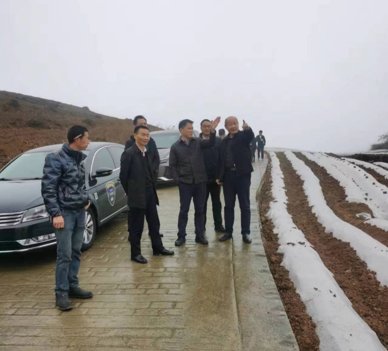 圖片1(1).png 圖片1(1).png